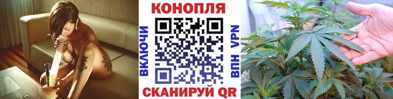 Шишки марихуана OG Kush  закладка  Приозерск 